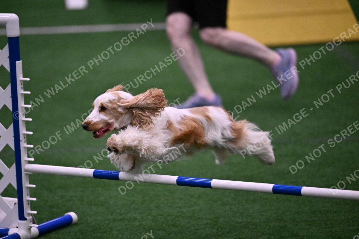 Cara-Colleen-Crowe-00330