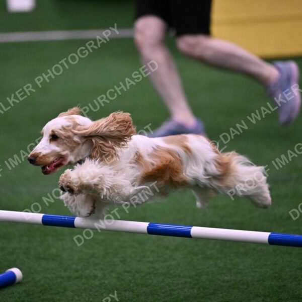 Cara-Colleen-Crowe-00330