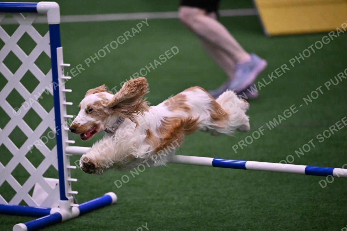 Cara-Colleen-Crowe-00331