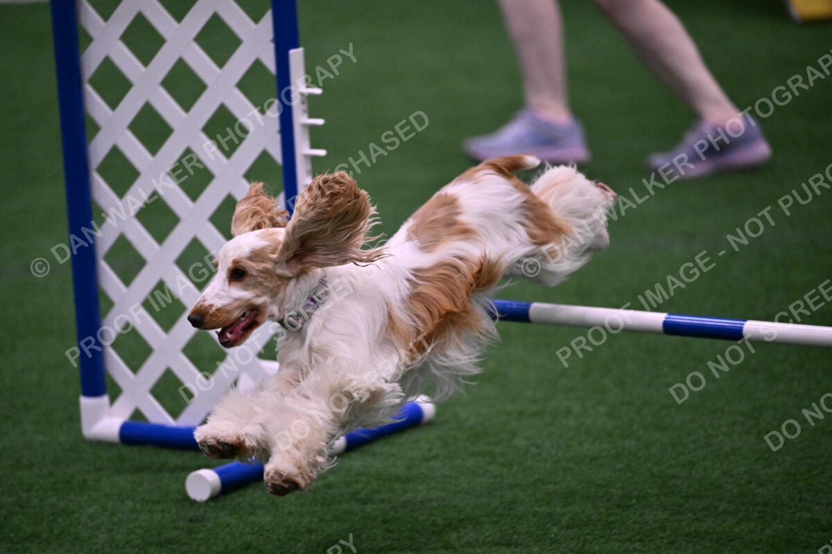 Cara-Colleen-Crowe-00332