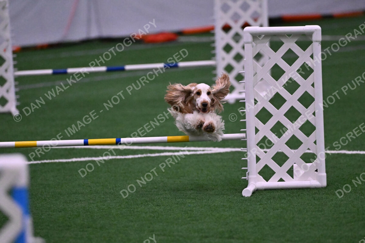 Cara-Colleen-Crowe-00340