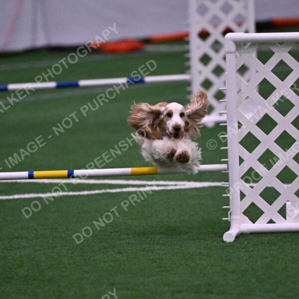 Cara-Colleen-Crowe-00340