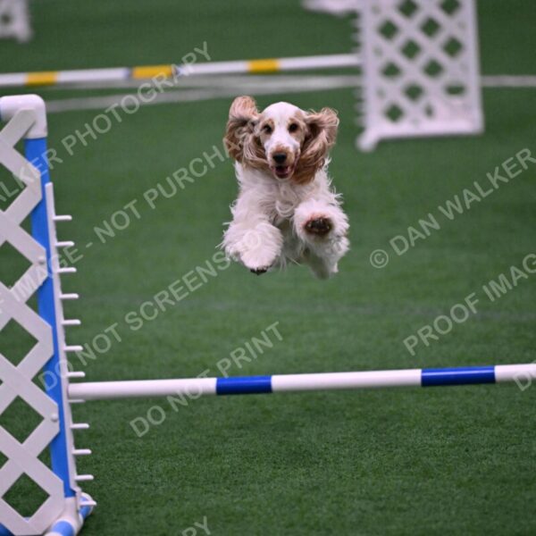 Cara-Colleen-Crowe-00347