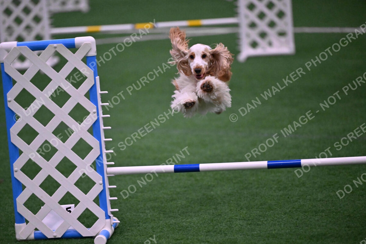 Cara-Colleen-Crowe-00348