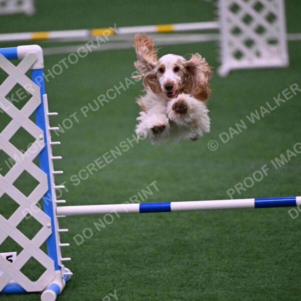 Cara-Colleen-Crowe-00348