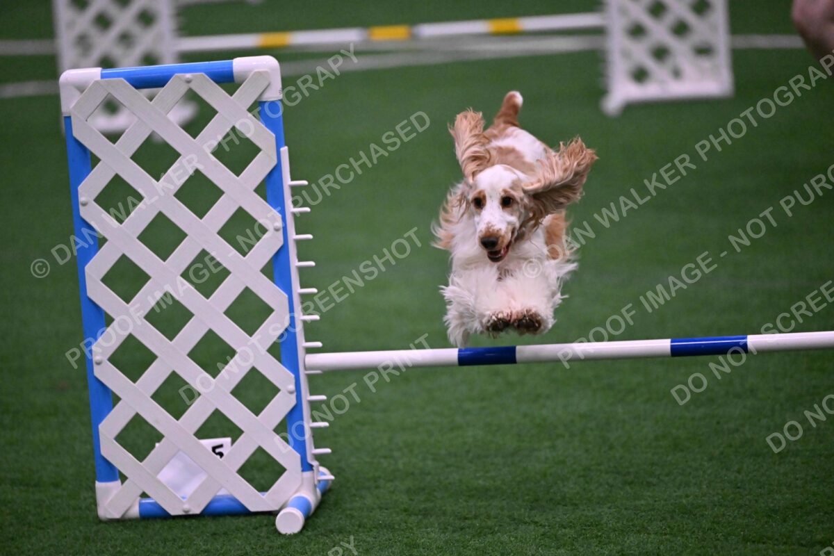 Cara-Colleen-Crowe-00350