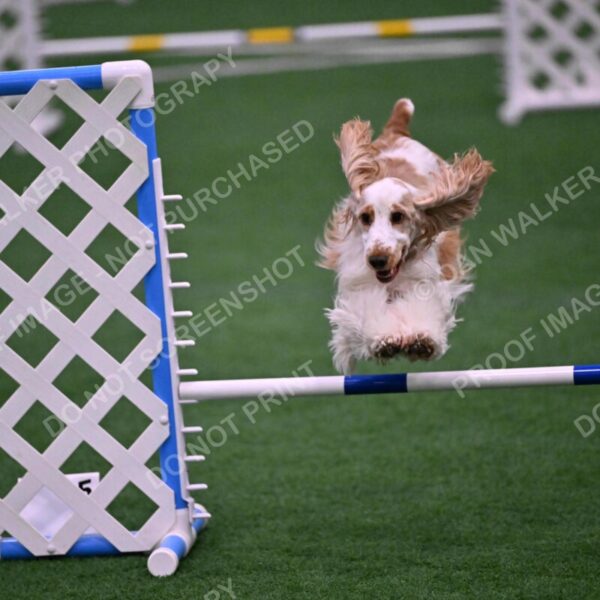 Cara-Colleen-Crowe-00350