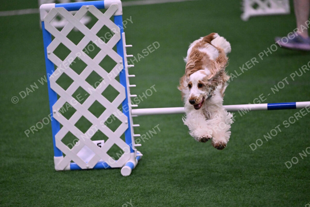 Cara-Colleen-Crowe-00351