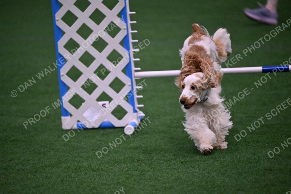 Cara-Colleen-Crowe-00352