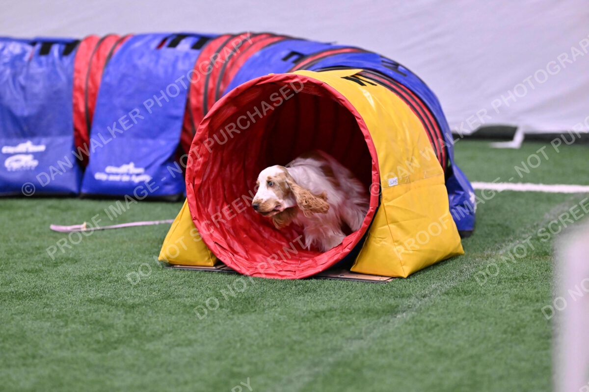 Cara-Colleen-Crowe-00357