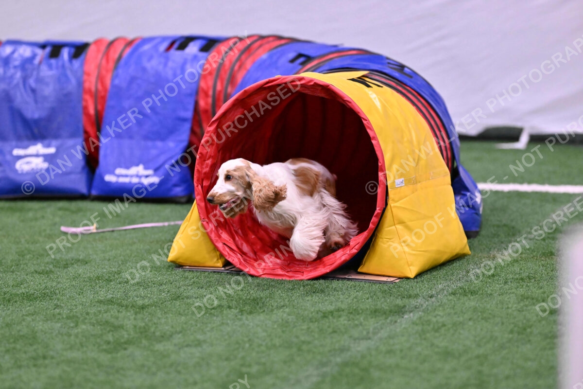 Cara-Colleen-Crowe-00358