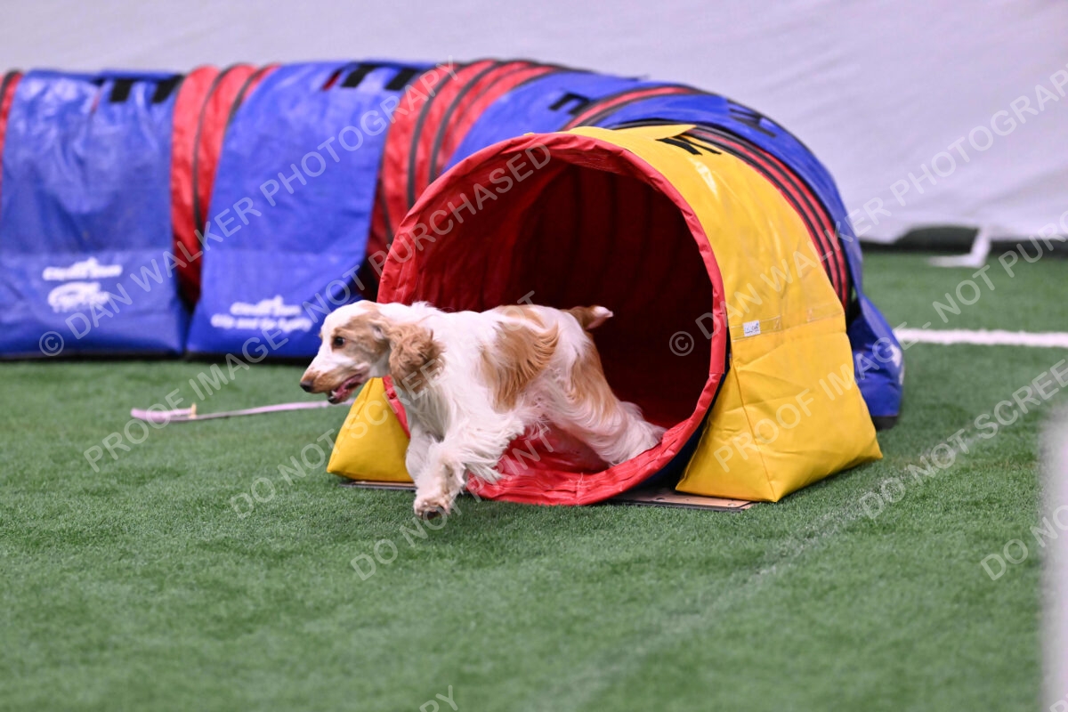 Cara-Colleen-Crowe-00359