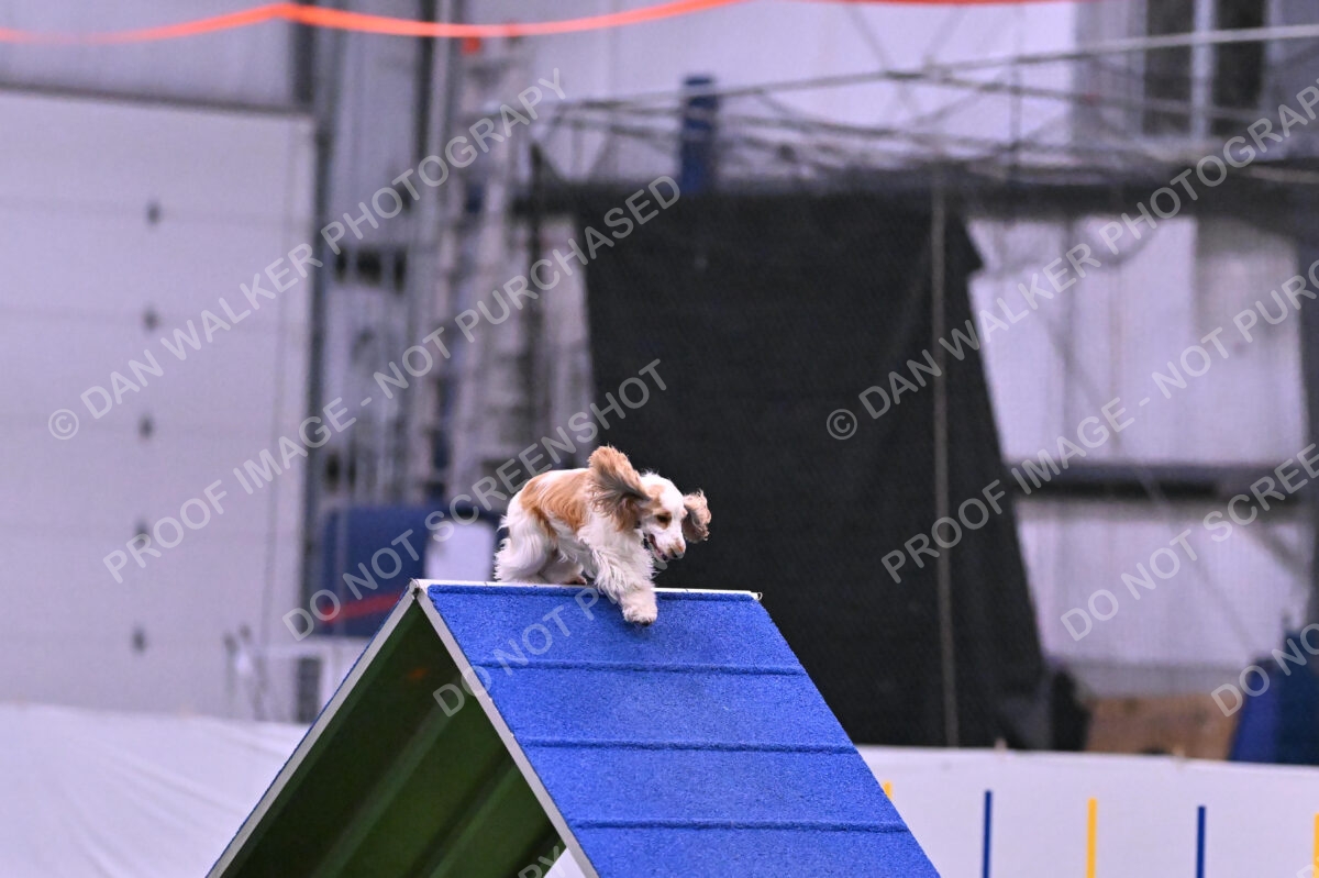 Cara-Colleen-Crowe-00360