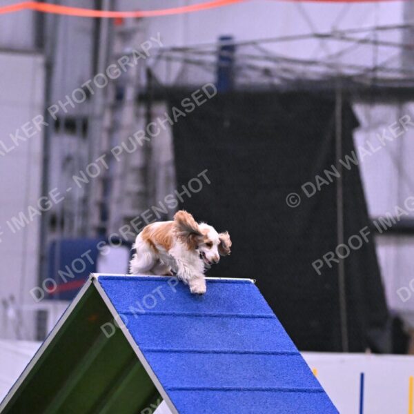 Cara-Colleen-Crowe-00360