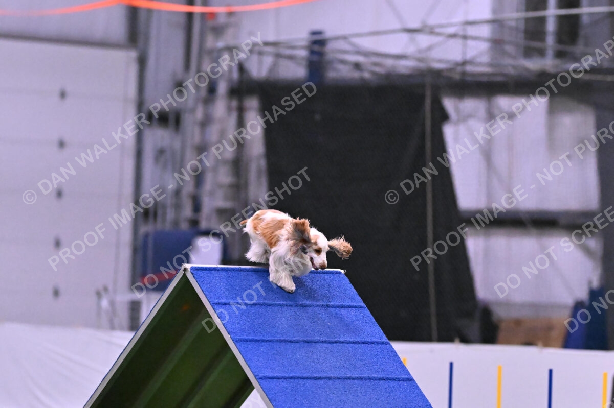 Cara-Colleen-Crowe-00361