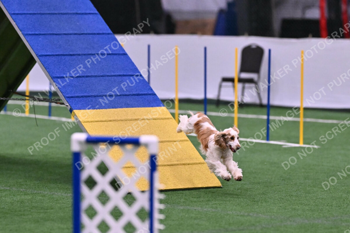 Cara-Colleen-Crowe-00365