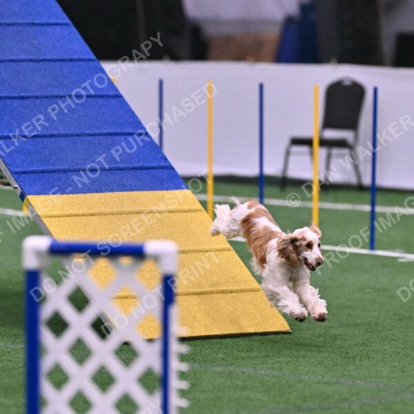 Cara-Colleen-Crowe-00365