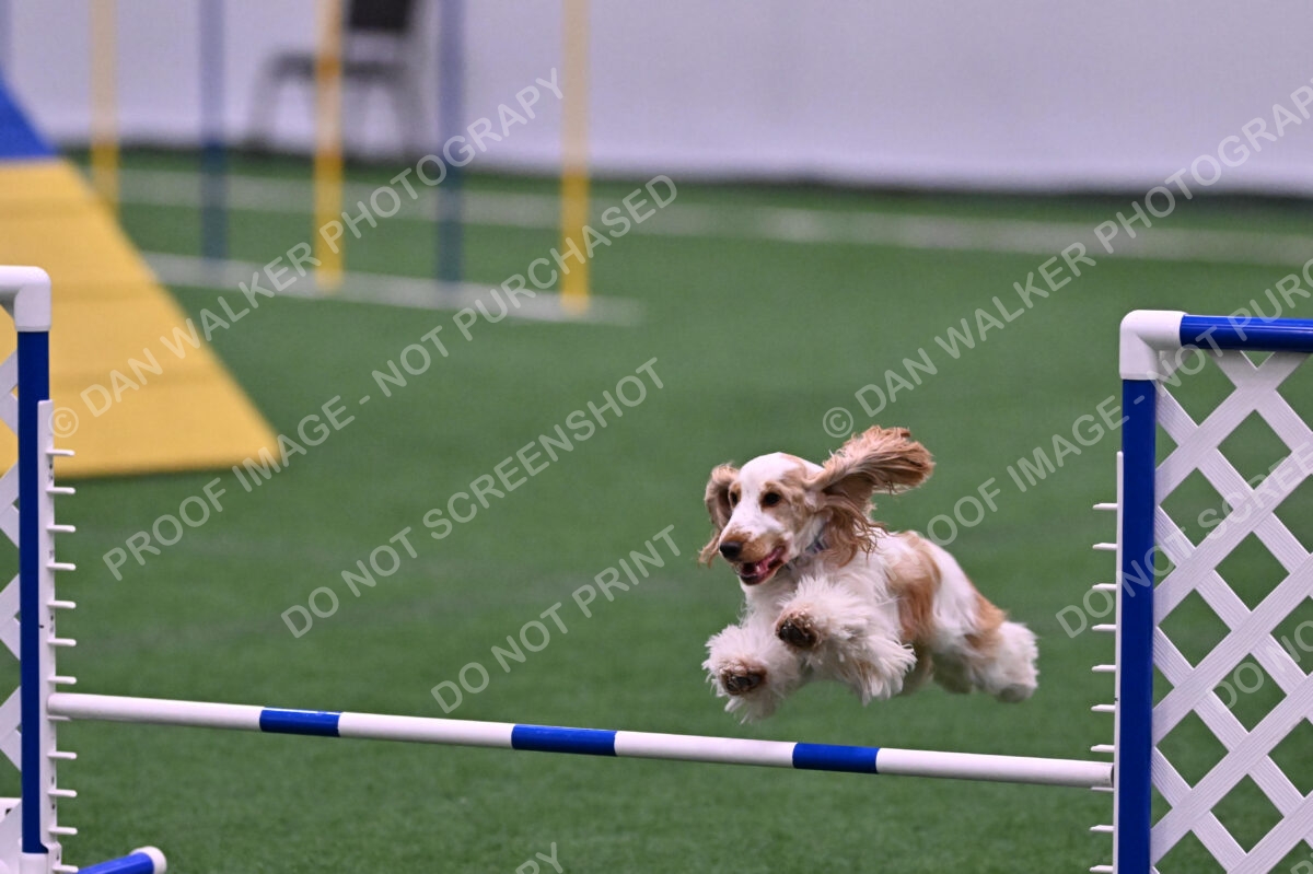 Cara-Colleen-Crowe-00370