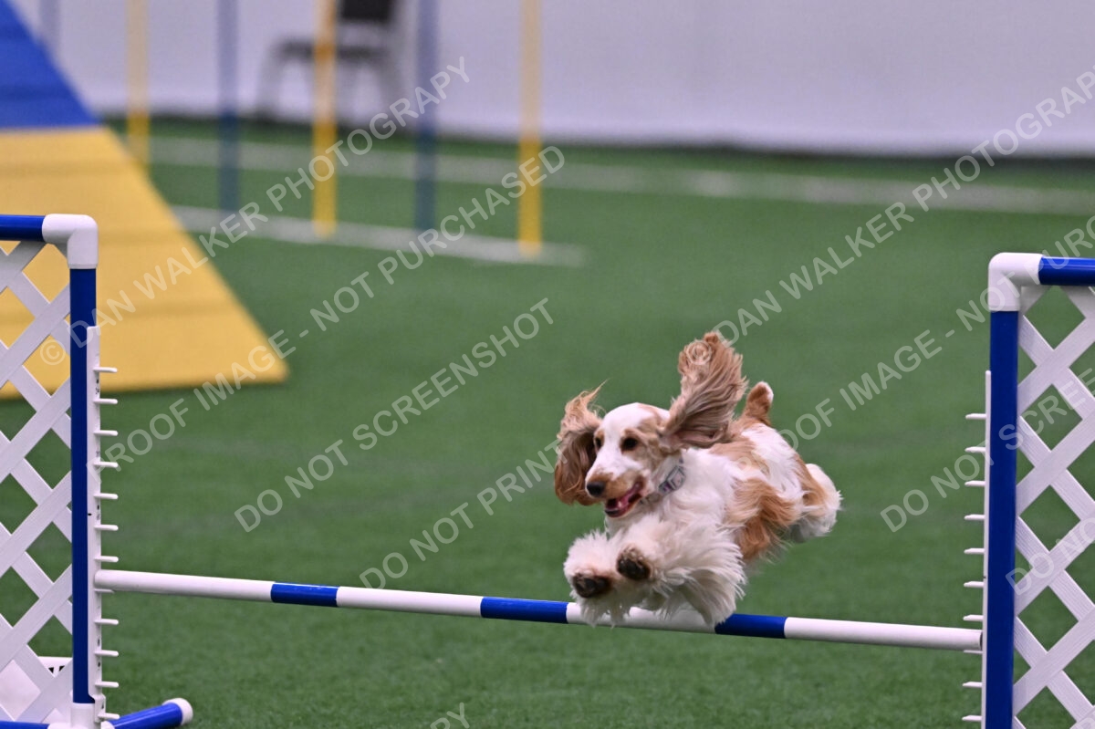 Cara-Colleen-Crowe-00371