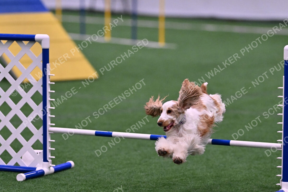 Cara-Colleen-Crowe-00372