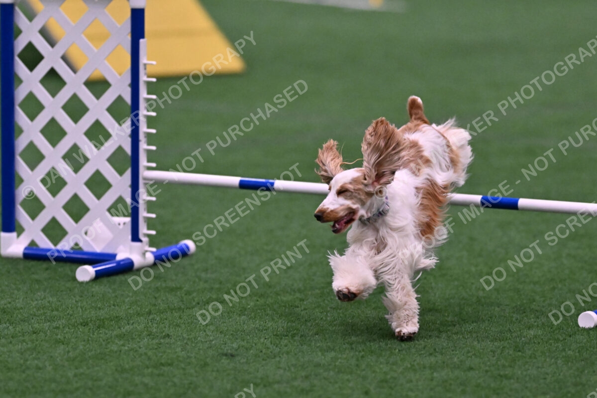 Cara-Colleen-Crowe-00373