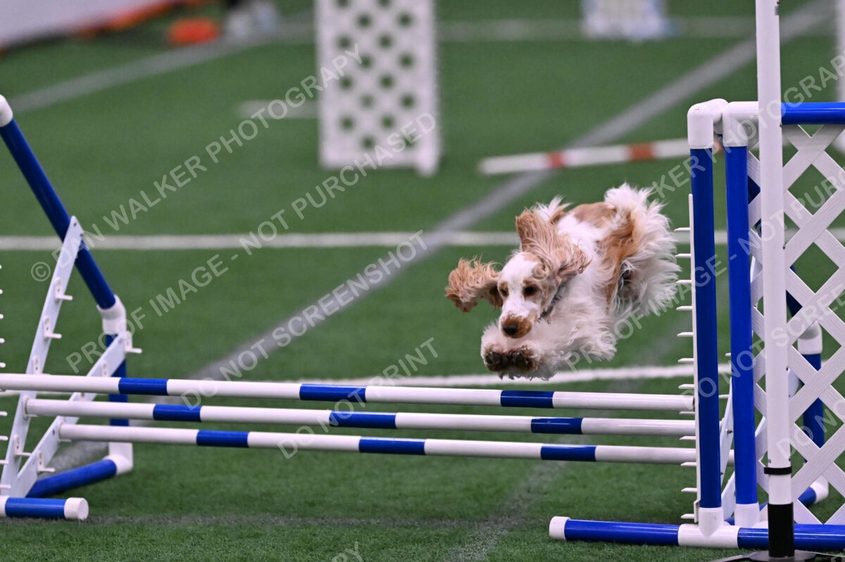 Cara-Colleen-Crowe-00376