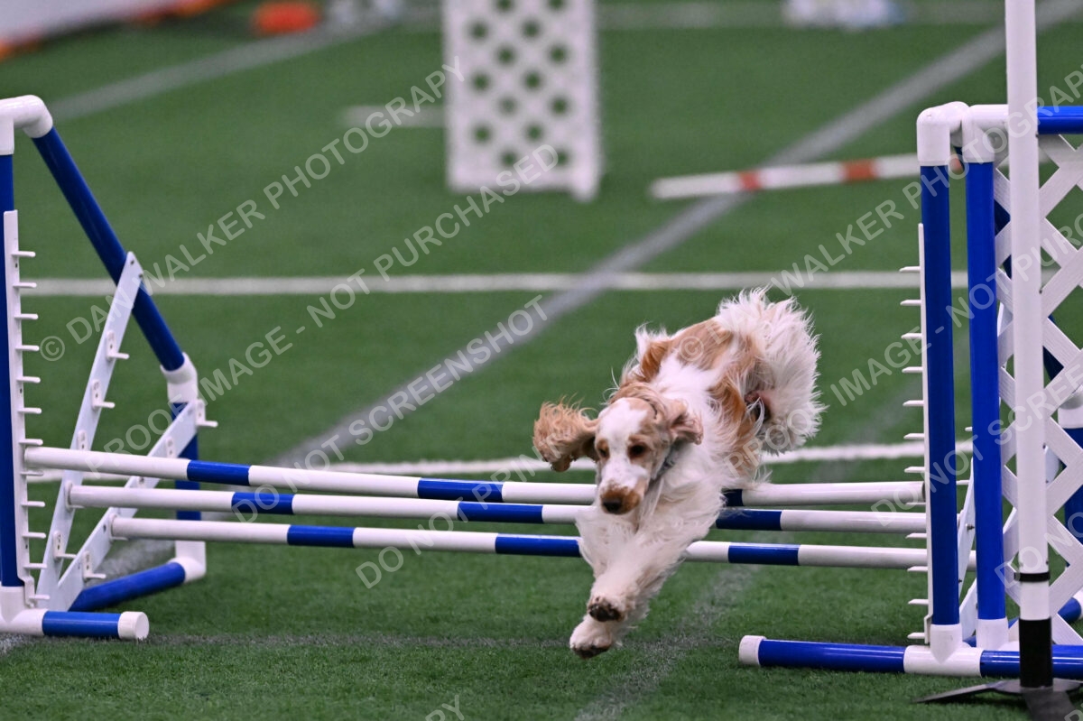 Cara-Colleen-Crowe-00377