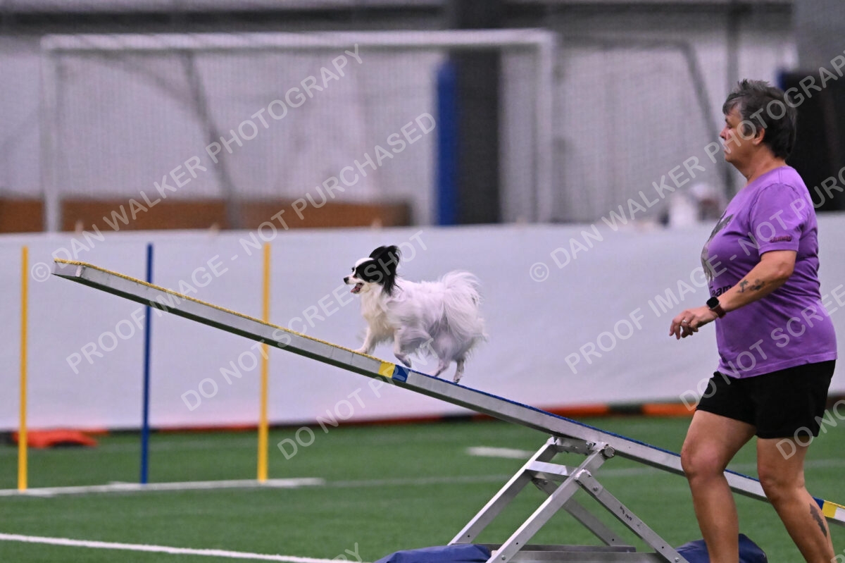 Dainty-Heather-Chambers-11079