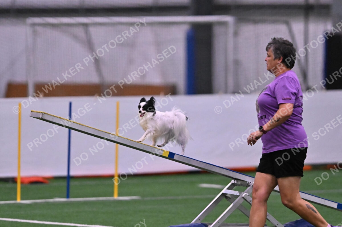 Dainty-Heather-Chambers-11080