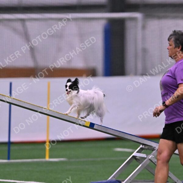 Dainty-Heather-Chambers-11080