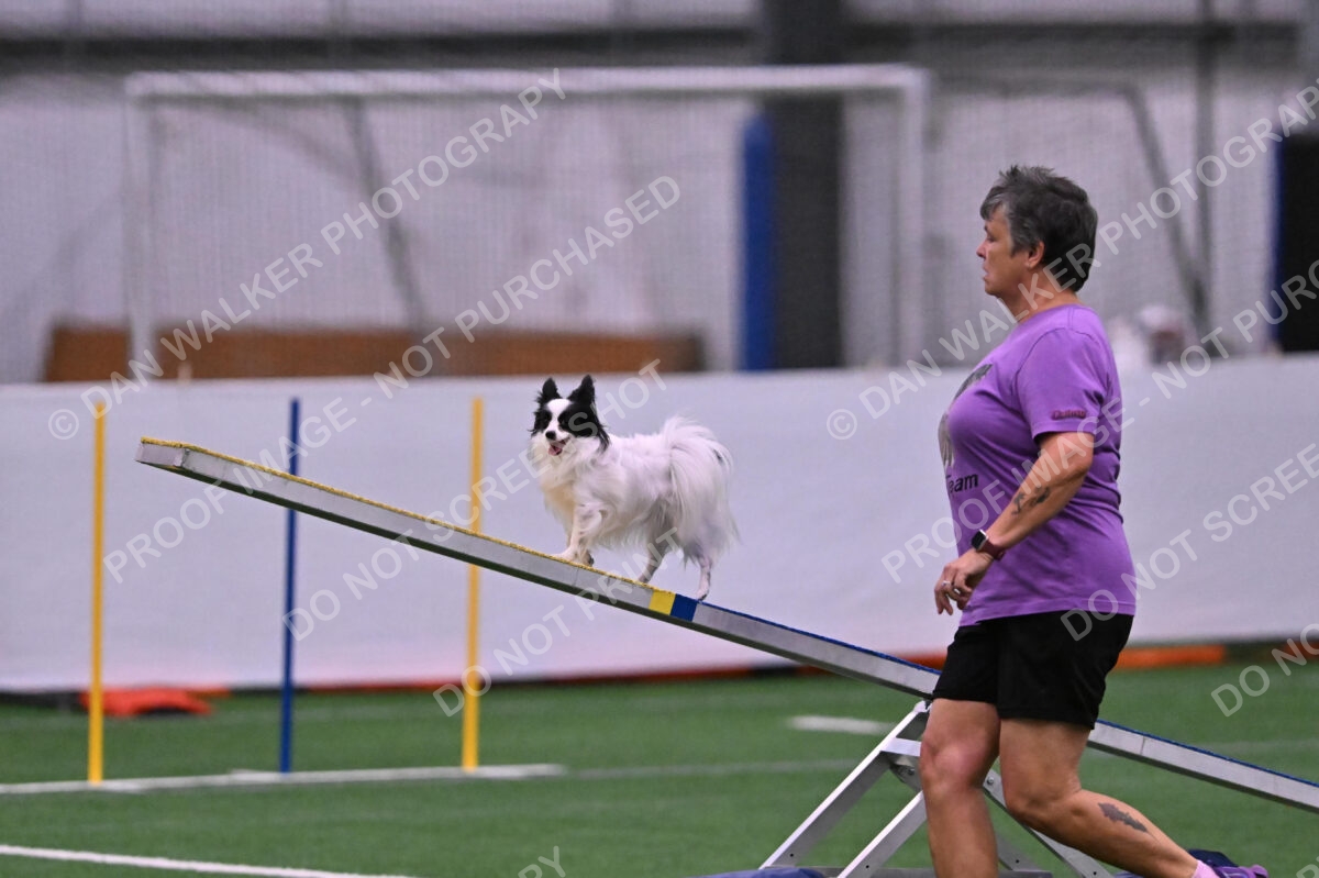 Dainty-Heather-Chambers-11081