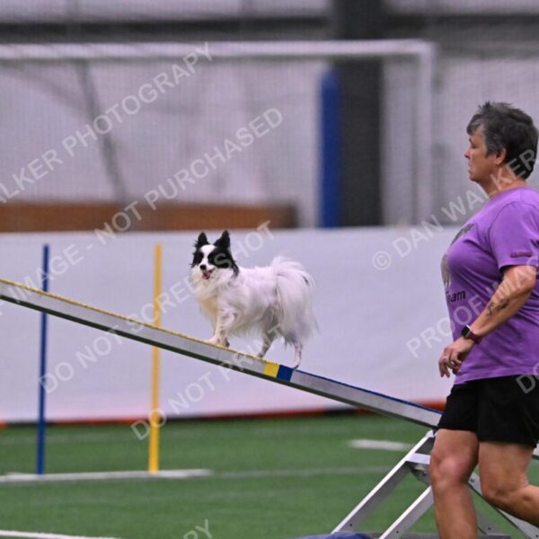 Dainty-Heather-Chambers-11081