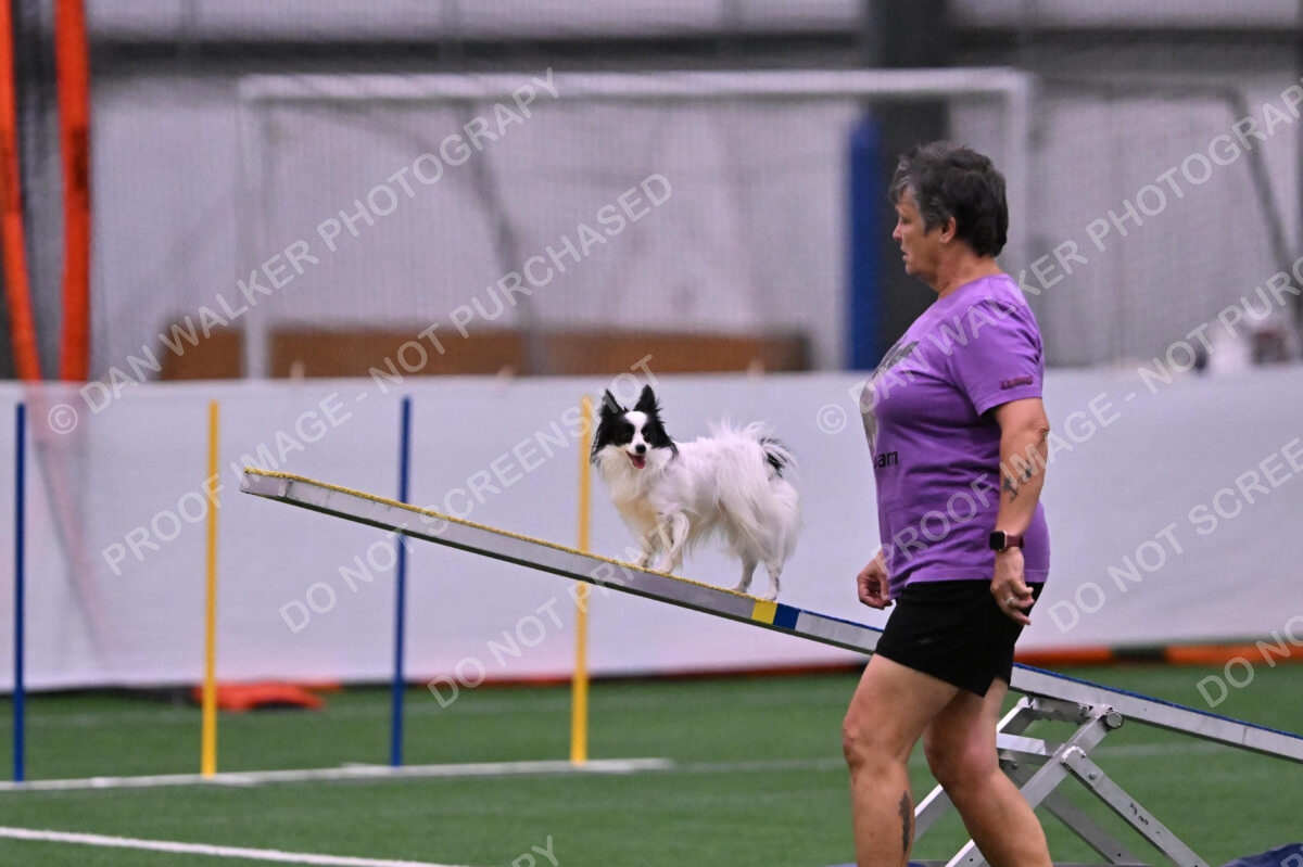 Dainty-Heather-Chambers-11082