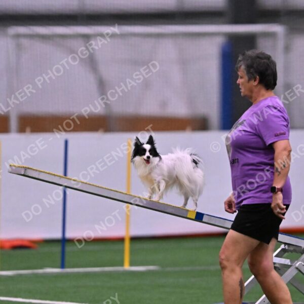 Dainty-Heather-Chambers-11082