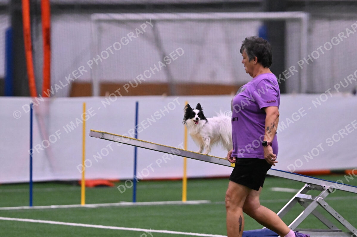 Dainty-Heather-Chambers-11083