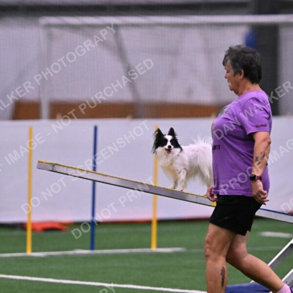 Dainty-Heather-Chambers-11083