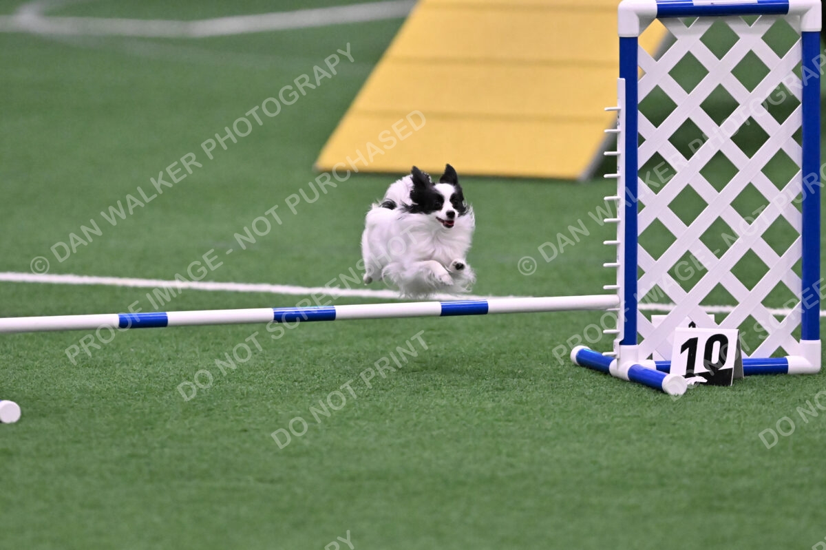 Dainty-Heather-Chambers-11091