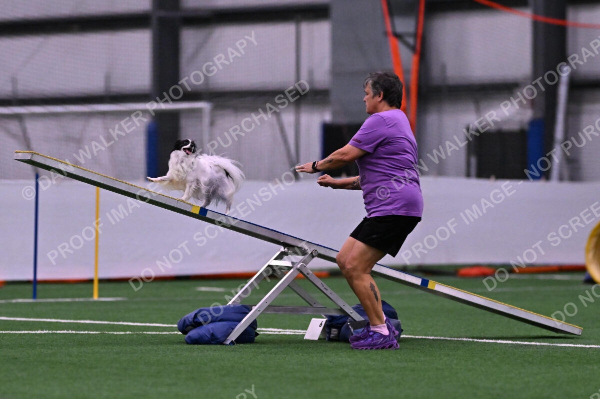 Daphne-Denise-Schneider-00042