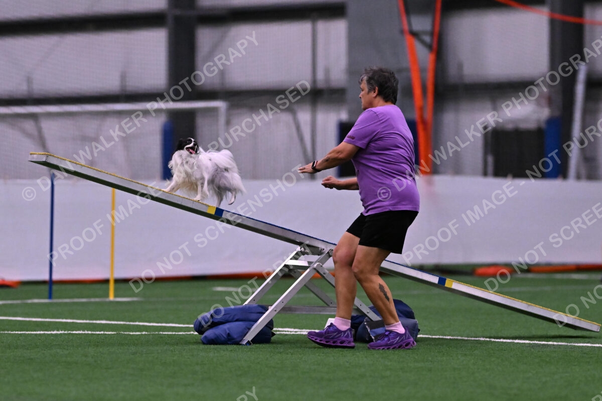 Daphne-Denise-Schneider-00043