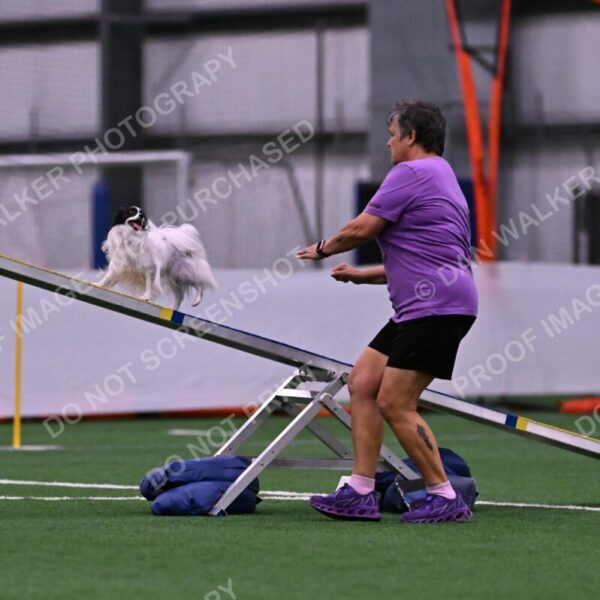 Daphne-Denise-Schneider-00043