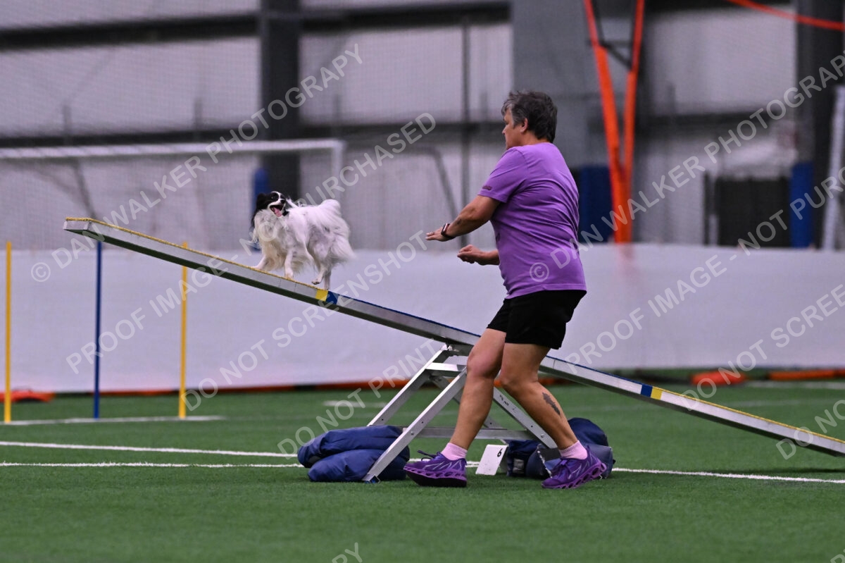 Daphne-Denise-Schneider-00044