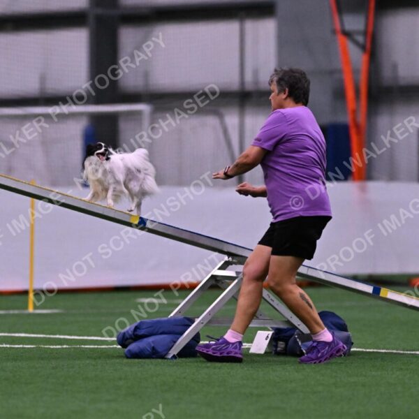 Daphne-Denise-Schneider-00044