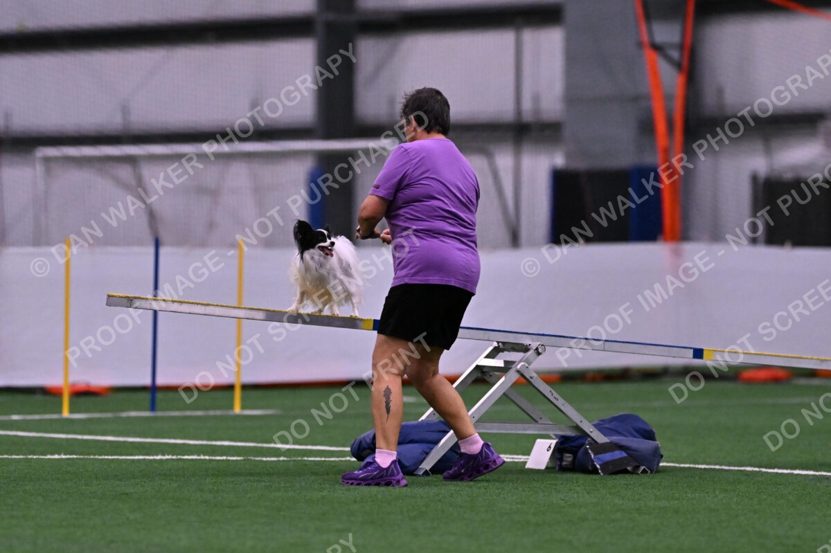 Daphne-Denise-Schneider-00045