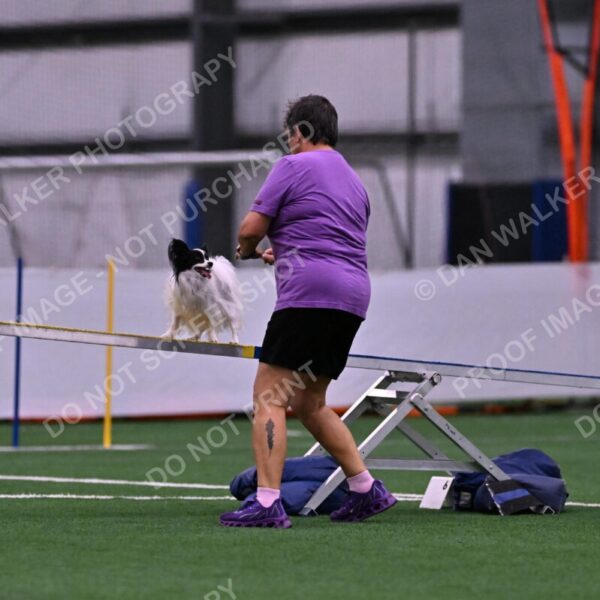 Daphne-Denise-Schneider-00045