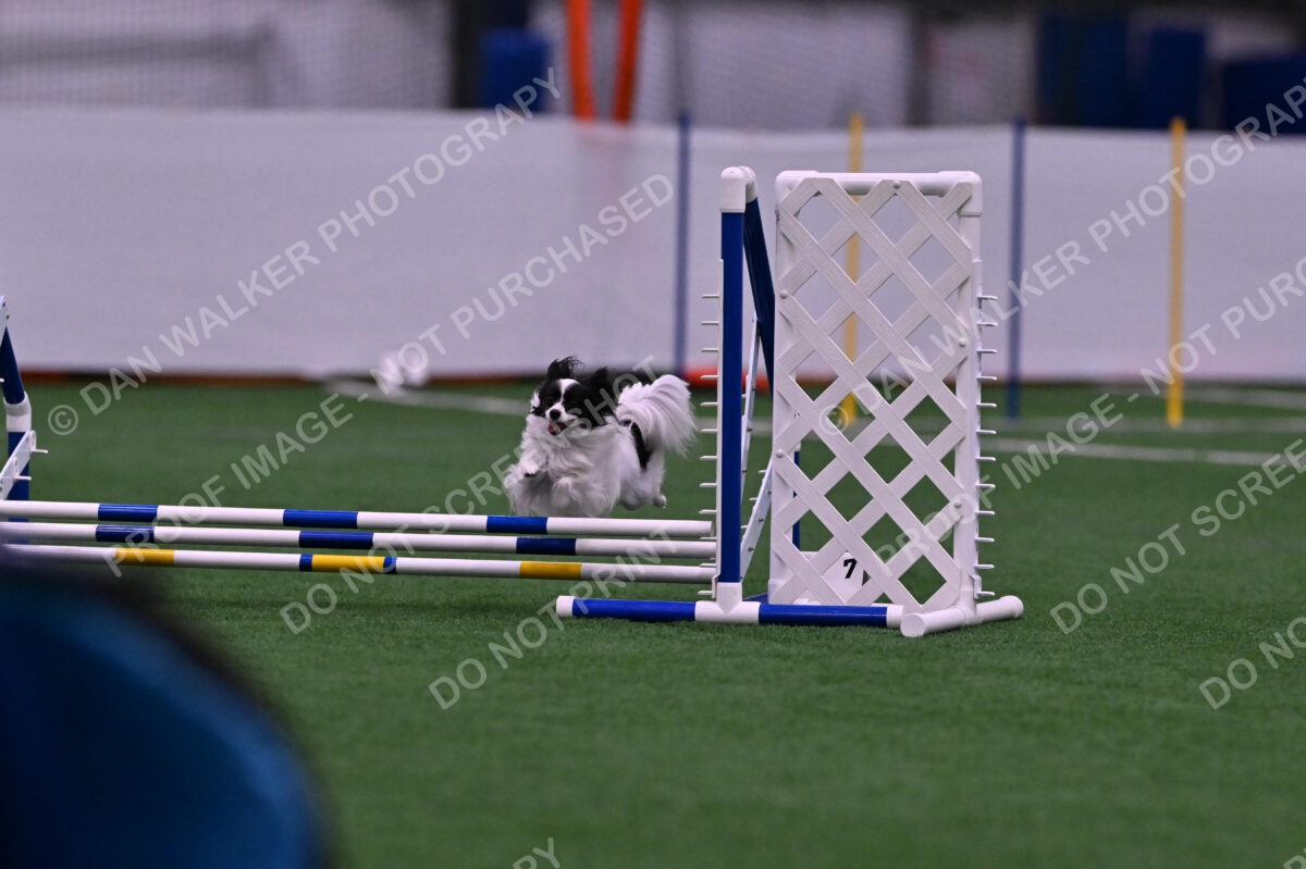 Daphne-Denise-Schneider-00046