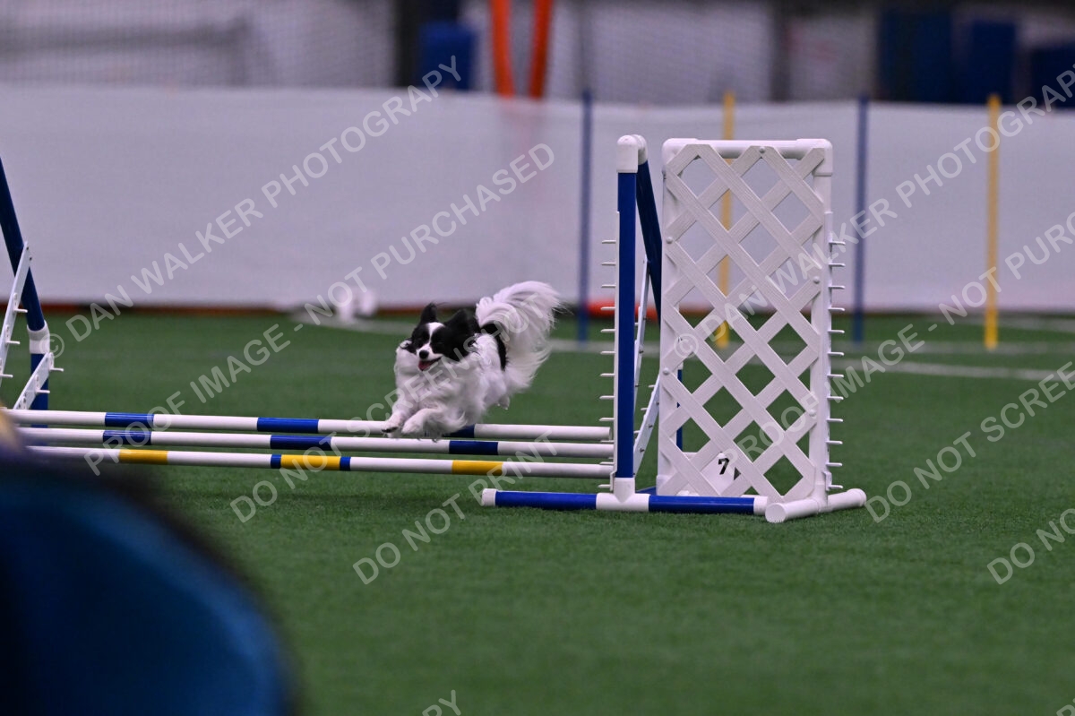 Daphne-Denise-Schneider-00047