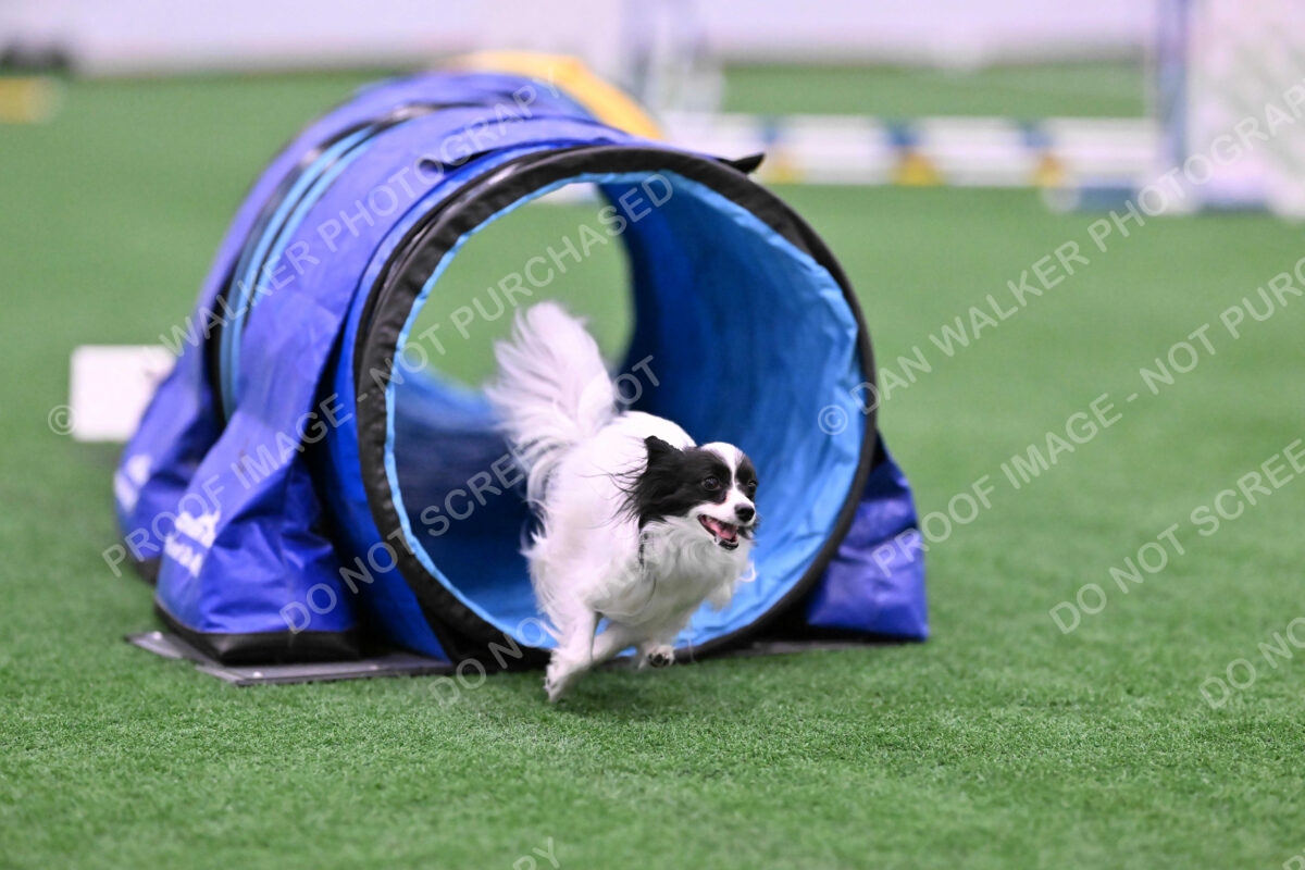 Daphne-Denise-Schneider-00048