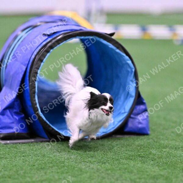 Daphne-Denise-Schneider-00048