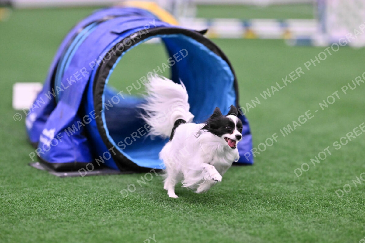 Daphne-Denise-Schneider-00049