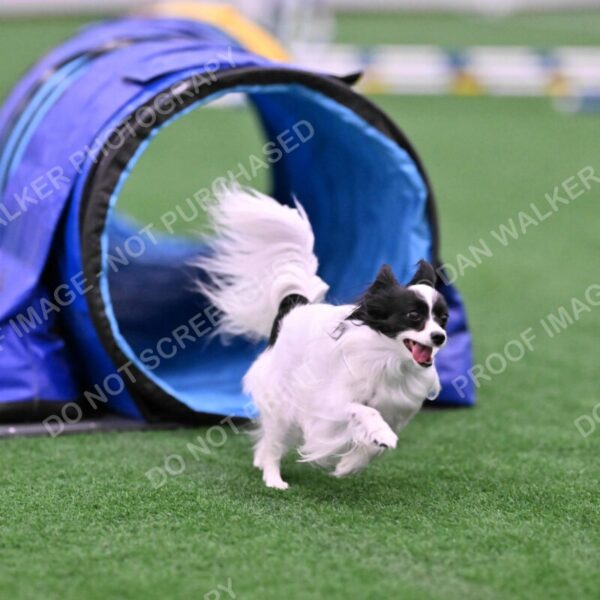 Daphne-Denise-Schneider-00049